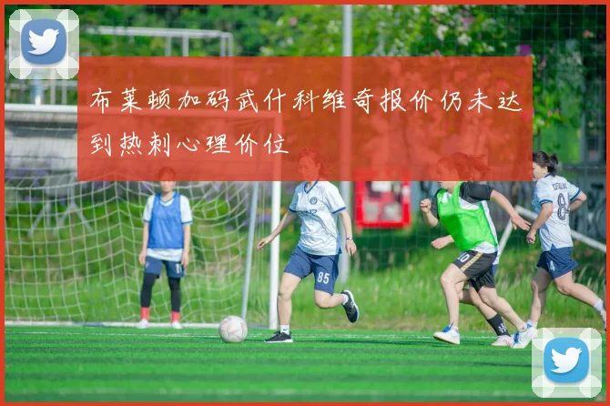 布莱顿加码武什科维奇报价仍未达到热刺心理价位
