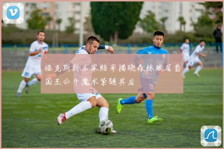 福克斯新东家赔率揭晓森林狼居首国王公牛魔术紧随其后